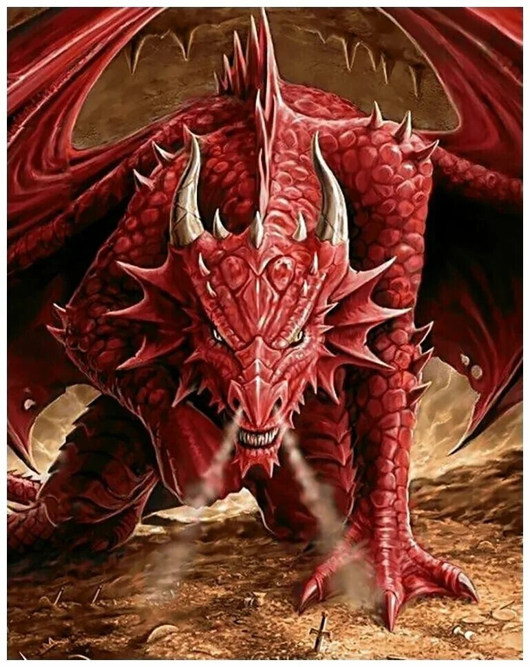 Фото дракона. Вермитор дракон. Красный дракон днд. Красный дракон dragon. Дракон арт.