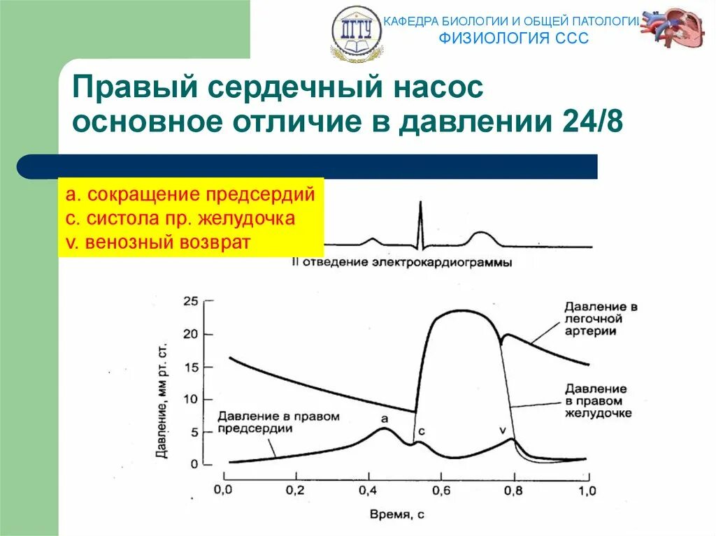 Физиология сердечно-сосудистой системы. Анатомия и физиология сосудов. Физиология сердечно-сосудистой системы. Сердечно сосудистая система сердце. Параметры нагнетательной функции сердца физиология.