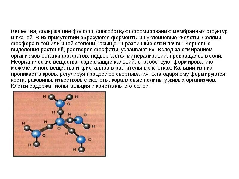 Соединения содержащие в своем составе. Вещества содержащие фосфор. Вещества содержащие фосфор способствуют. Вещества содержащие фосфор растения.