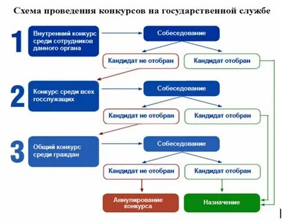 Практика на государственной службе