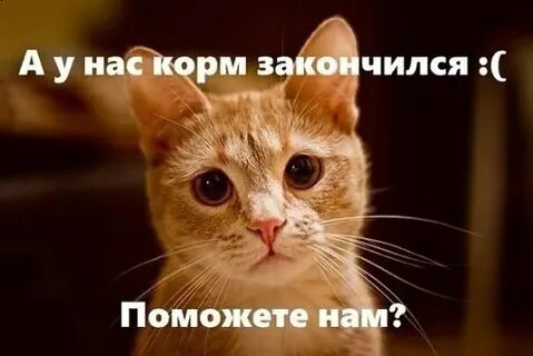 Заканчивается корм