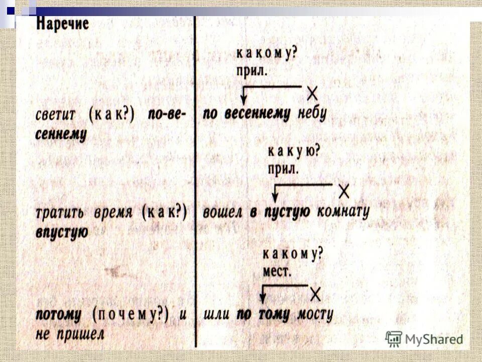 Светило какое лицо