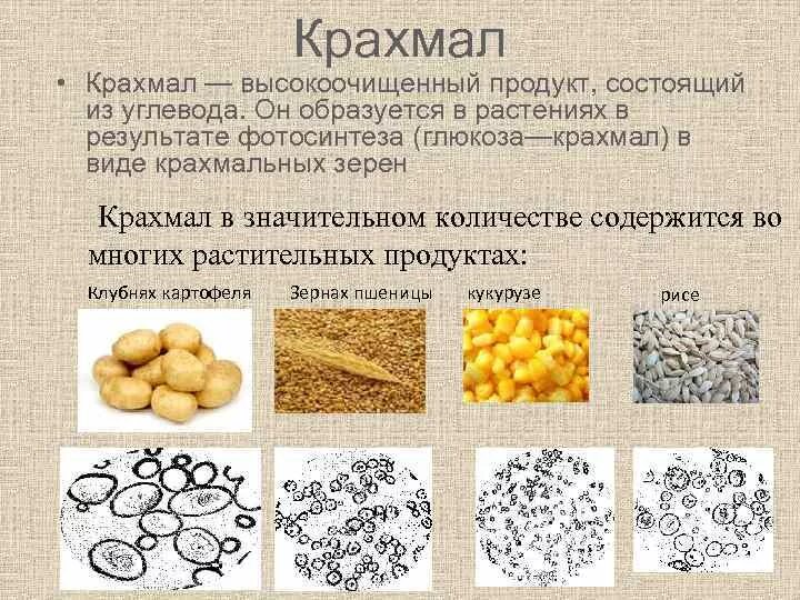 Крахмал. Какие виды крахмала бывают. Крахмал в растительных продуктах. Типы крахмала.