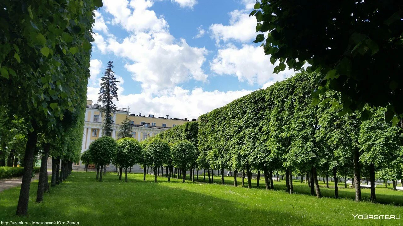 Зеленые насаждения города москва. Парк в городе. Усадьба остафьево липовая аллея. Древесные насаждения в городе. Аллея сквер озеленение екатеринбург.