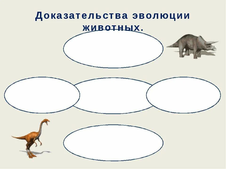 Эволюция животных видео. Доказательства эволюции животных. эволюция животных презентация. модель эволюции животных. эволюция животных схема.