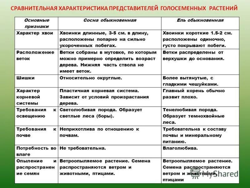 Диагностическая контрольная работа по биологии 7 класс - биология, прочее