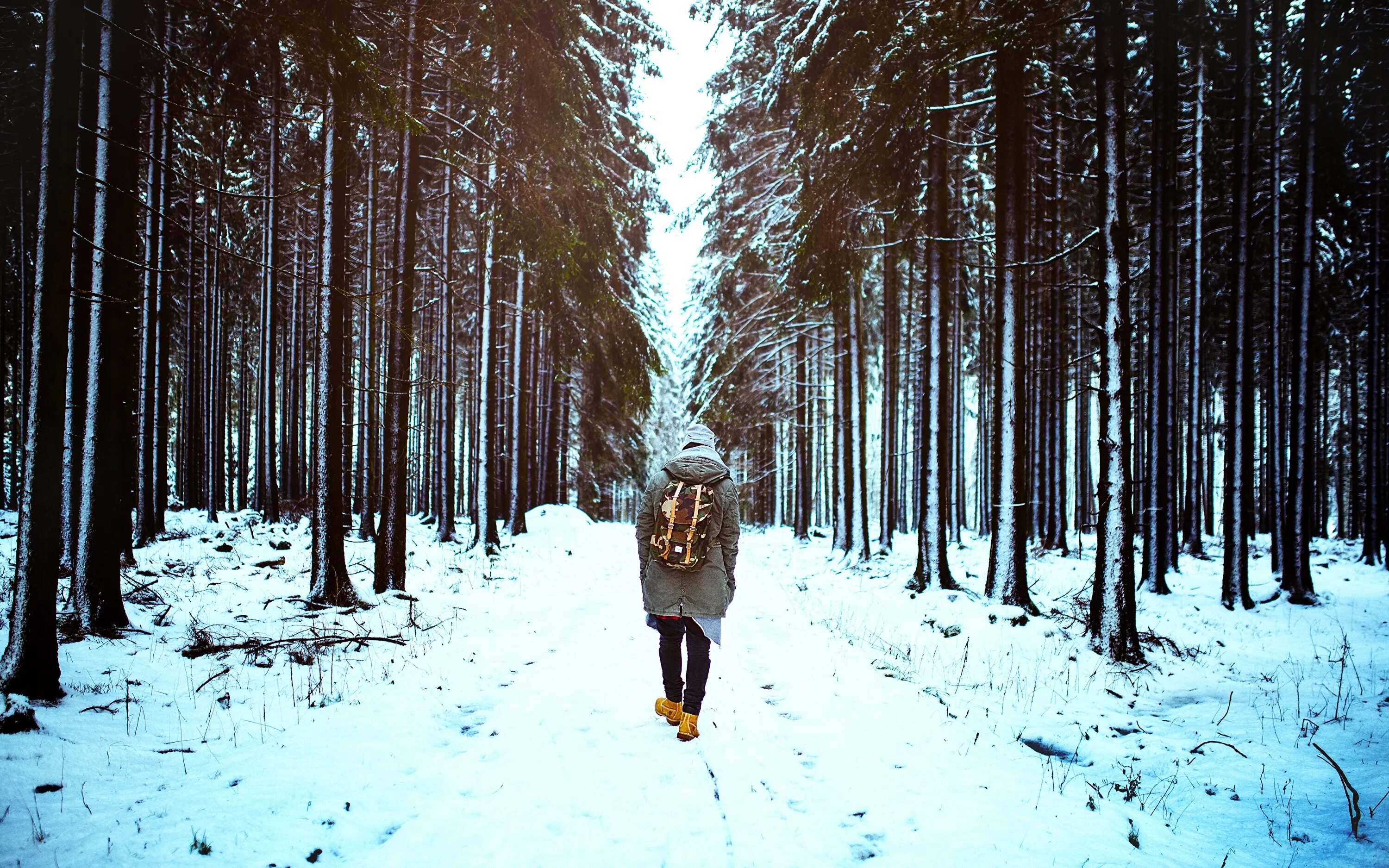 Удивление в лесу. Зимняя фотосессия в лесу. Парень в лесу зимой. Человек в зимнем лесу. Зима лес человек.