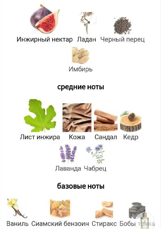 древесные ароматы. Shaik w134 lancome la vie est belle. базовые ноты ваниль бобы тонка. Shaik №134 50 мл. базовые ноты ваниль бобы тонка.