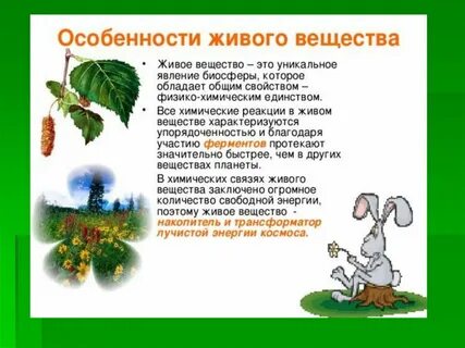 Особенности живого