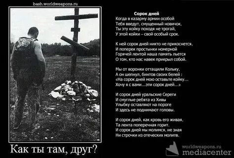 Бока 40 дней