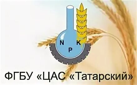 Фгбу цас владимирский. Фгбу цас татарский. фгбу «центр агрохимической службы «татарский» анас лукманов. лукманов цас татарский.
