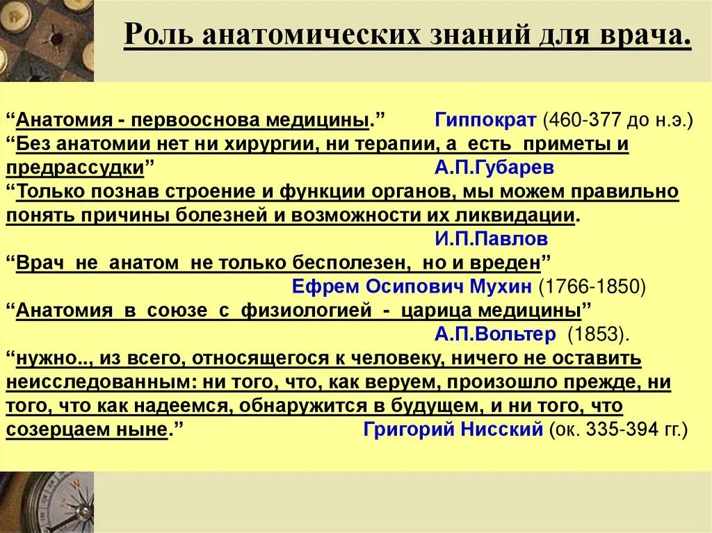 Познание анатомии. Анатомия важность. Значение анатомии для медицины. Роль анатомии в медицине. Практическое значение анатомии.