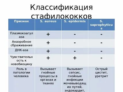 Методы изучения протеолитической активности бактерий