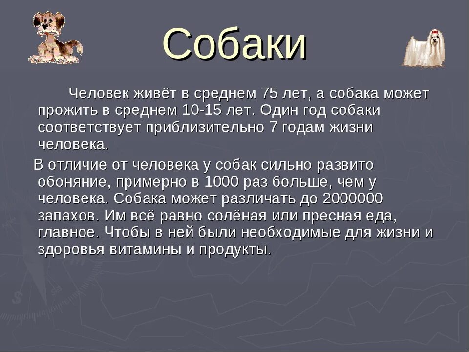 Доклад на тему собаки. Рассказ о собаке 3 класс. Доклад про собаку. Доклад про собаку 3 класс. Собака для презентации.