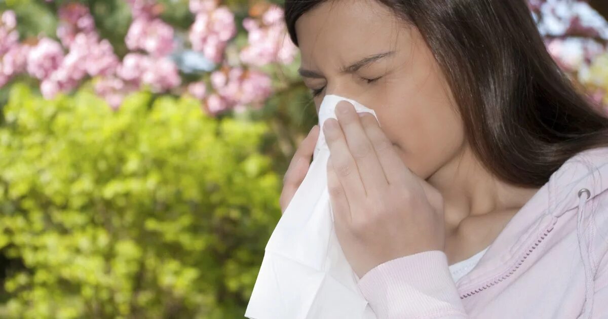 People allergy. V flower people allergy. Весенний поллиноз. Весенний поллиноз. People allergy.