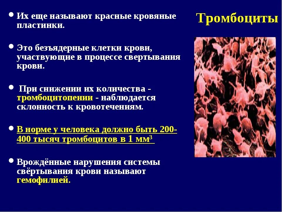 Можно ли повысить тромбоциты