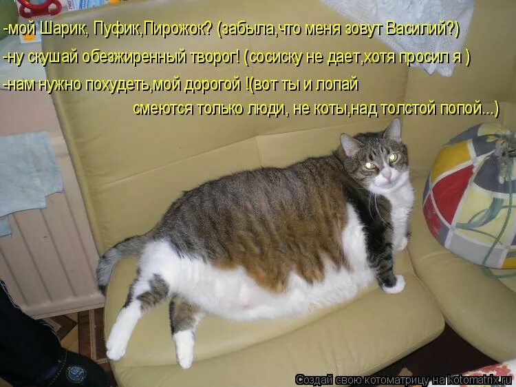 Что делать если остался один дома. Анекдоты про кошек в картинках. Как долго я тебя искала. Дом с сердцем из окон. Простоквашино мем.