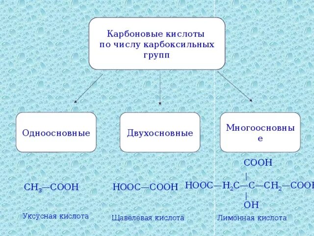 Непредельная одноосновная кислота. Одноосновные кислоты и двухосновные кислоты. Непредельные двухосновные кислоты. Общая формула двухосновных карбоновых кислот. Двухосновные карбоновые кислоты.