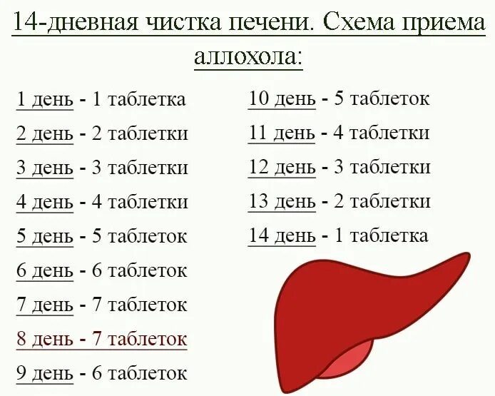 Сколько очищается печень. Чистка печени аллохолом 14 дней схема приема. Чистка печени аллохолом аллохол по схеме. Схема приёма Аллохола для очистки печени. Схема приёма Аллохола для чистки печени.