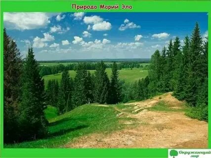 Республика марий эл природа