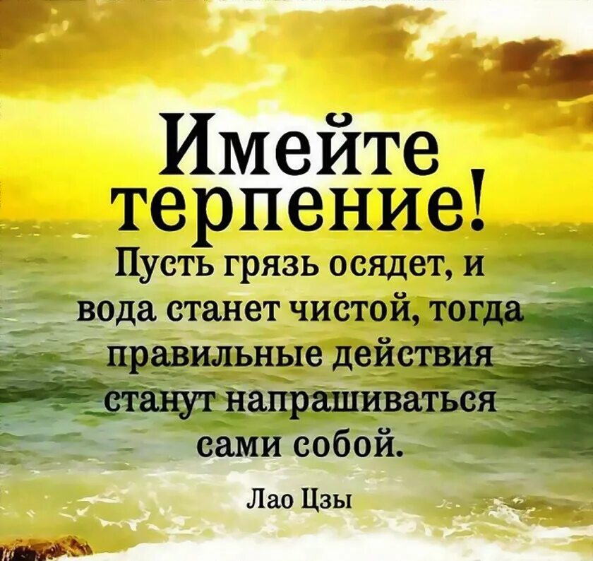Терпеливый цитаты. Имей терпение пусть грязь осядет. терпение цитаты. высказывания о терпении и выдержке мудрые. мудрые слова о терпении.