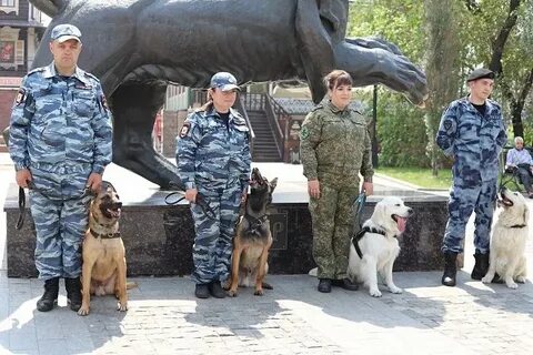 Кинолог иркутск