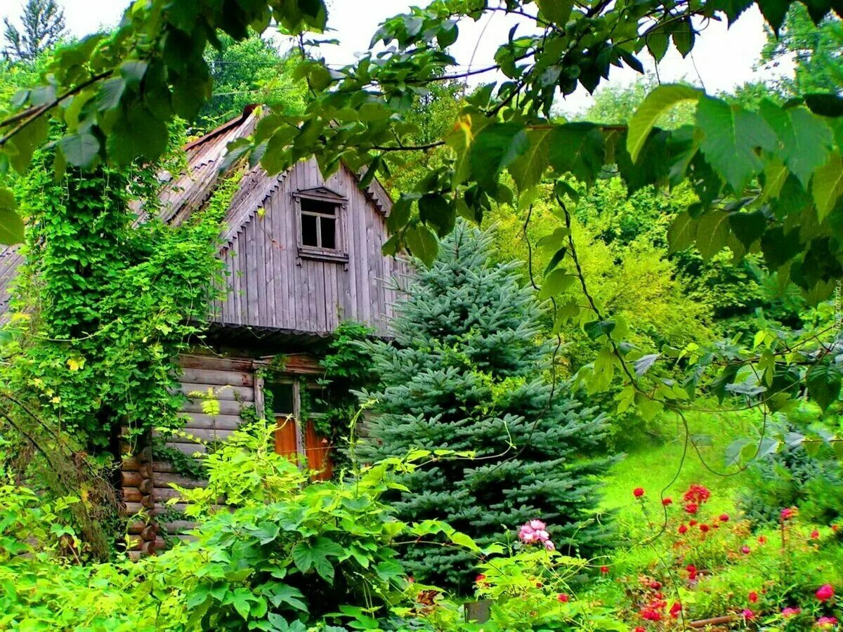 красивые коттеджи. коттеджный поселок озерское дмитровское шоссе. между городом и дачей новые. красивые дачные домики. загородный домик.