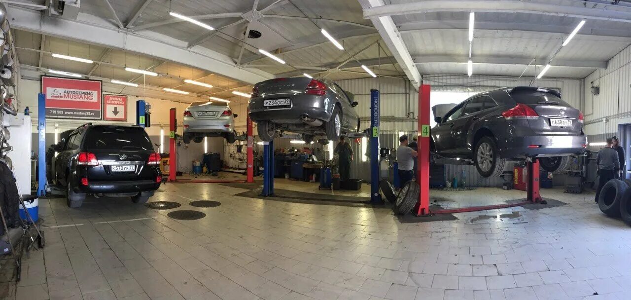 Автотюнинг автосервис. Мустанг автосервис. Мустанг автосервис. Стартер автосервис. Автосервис мустанг.