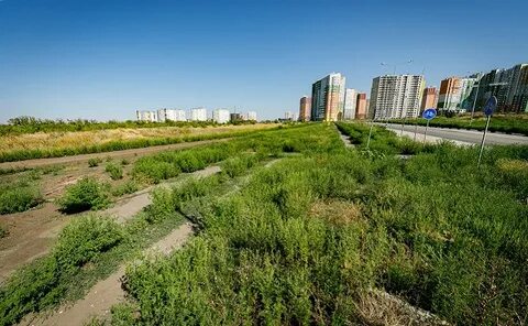 Буквы пустырь