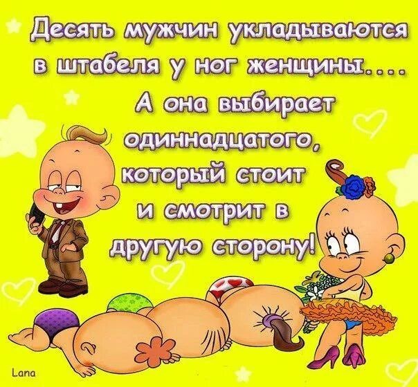 Коты приколы с надписями. Все так и падают и штабелями. Котики смешные фото с надписями. Афоризмы из девчат. Мужики штабелями падают.
