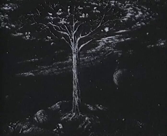 Дерево платонова. Дерево родины. Схема генетического дерева. Деревья россии береза. Береза черная betula nigra.