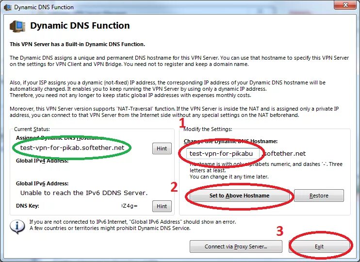 Ipv6 адрес dns сервера. Dns vpn. сервер dns 1 vpn. softether proxy. selectsmart bsd test впн.