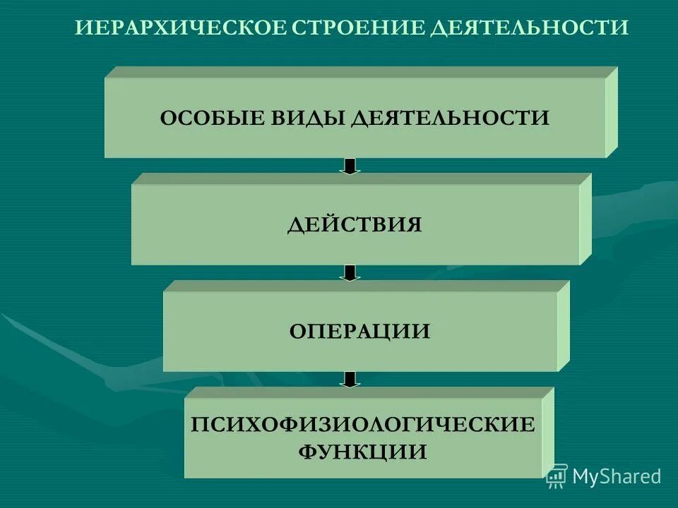 Вид функционирования. Иерархическая структура деятельности. Иерархическое строение деятельности человека. Структуре деятельности человека теория. Психофизиологические функции.