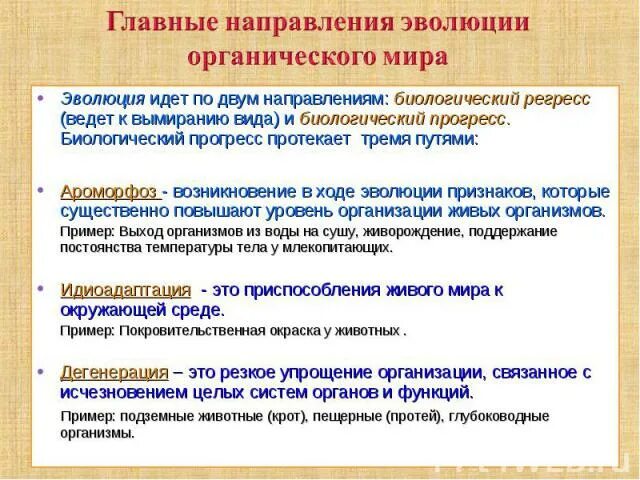 Основные направления эволюции северцов. Ортогенез. Теории направленной эволюции. Теории направленной эволюции. Эволюционная теория.