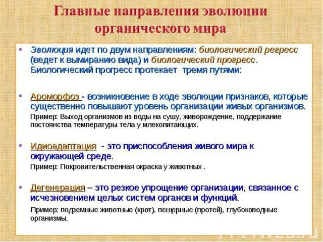 Три направления эволюции. Основные пути и направления эволюции. Основные направления эволюции биология. Основные закономерности и направления эволюции.