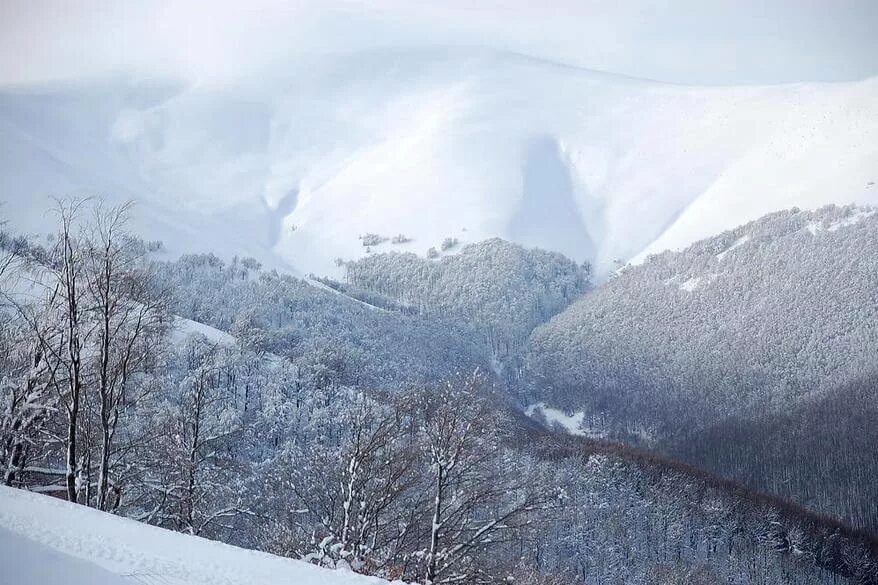 Межгорье Карпаты зимой фото.