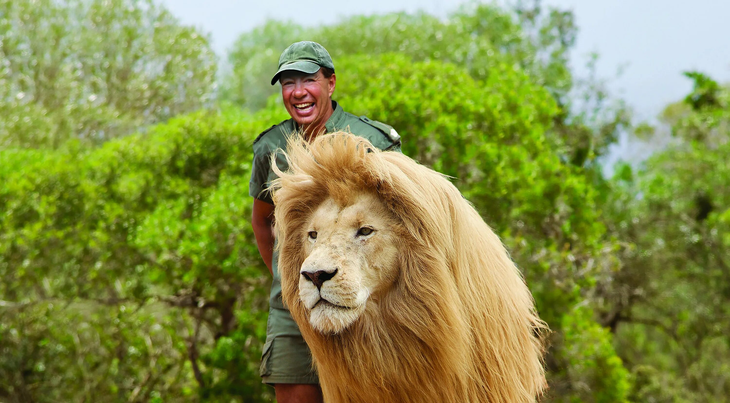 Кевин ричардсон и львы. Лев и человек картина. Лев знак зодиака характеристика. Качества человека льва. Качества человека льва.