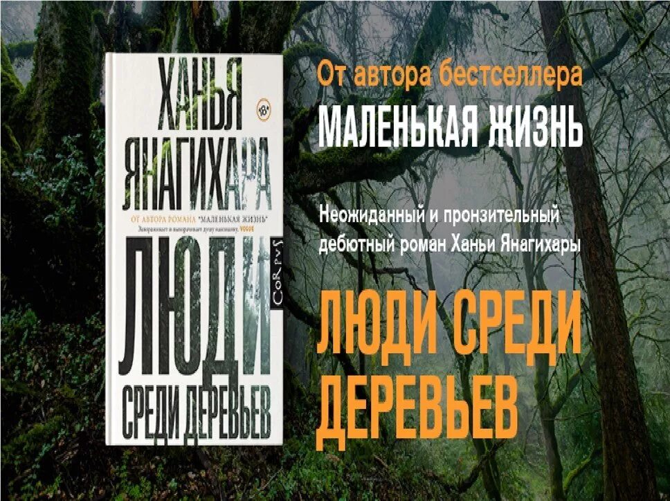 Книга среди деревьев