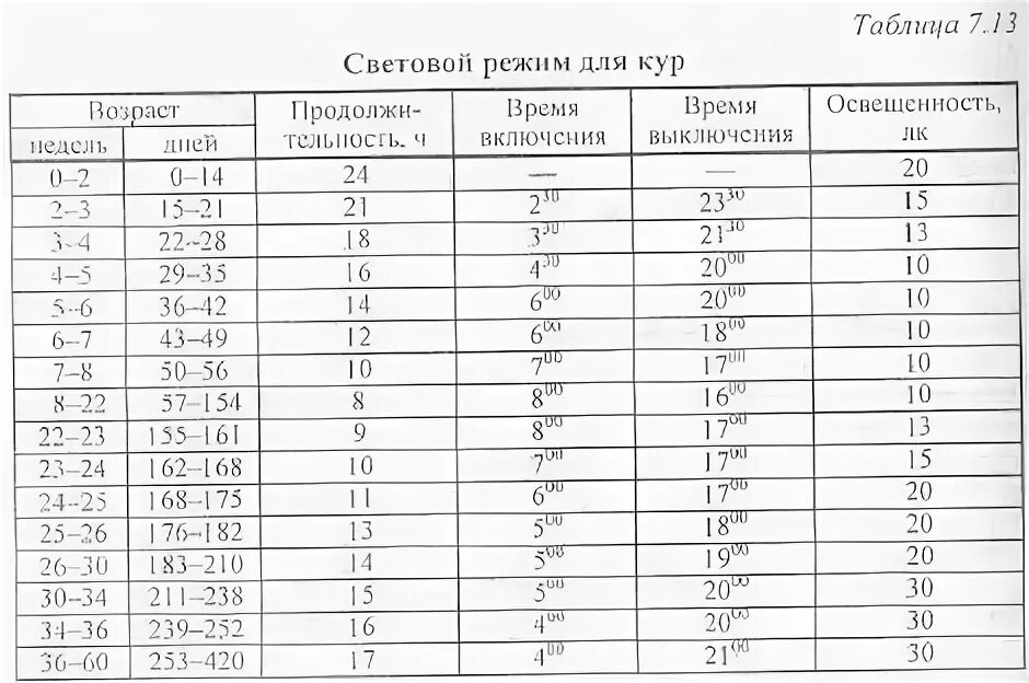 Таблица освещения для цыплят бройлеров. Режим освещения для цыплят несушек. Таблица света для цыплят бройлеров. Световой режим для цыплят несушек с первых дней.