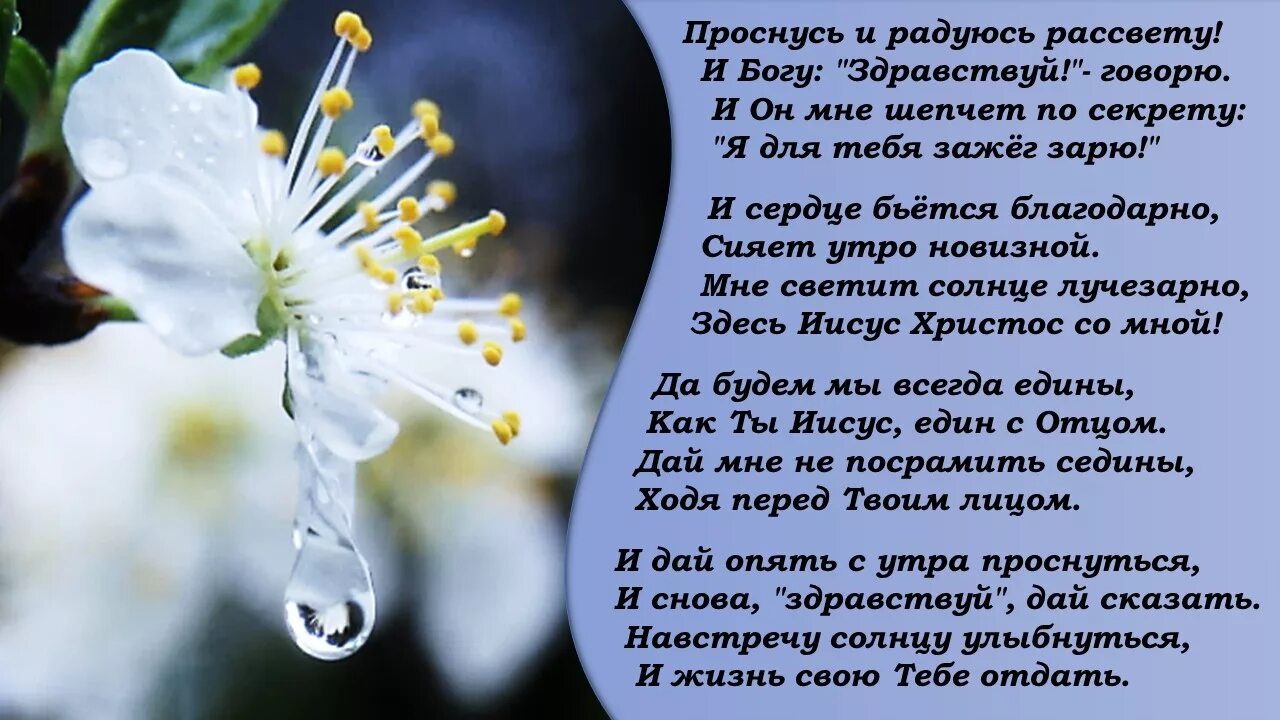 Я люблю все что богом дано песня. Стихотворение радуйтесь. Стихи радующие душу. Радуемся жизни стишок. Живите и радуйтесь жизни стихи.