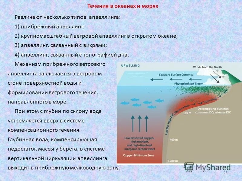 Определение термина течение