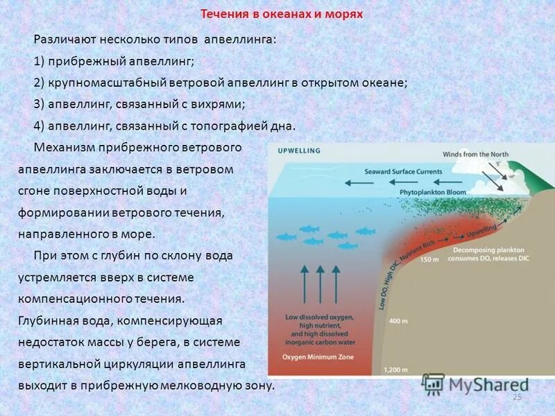 Тема течение