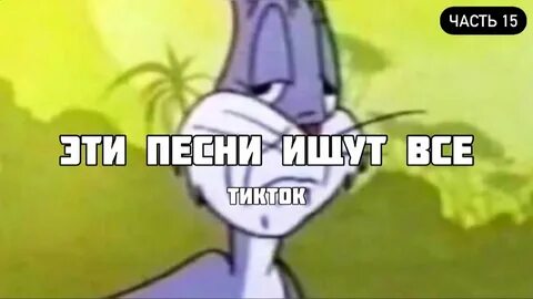 Песня я сюда приехала розовой здоровою