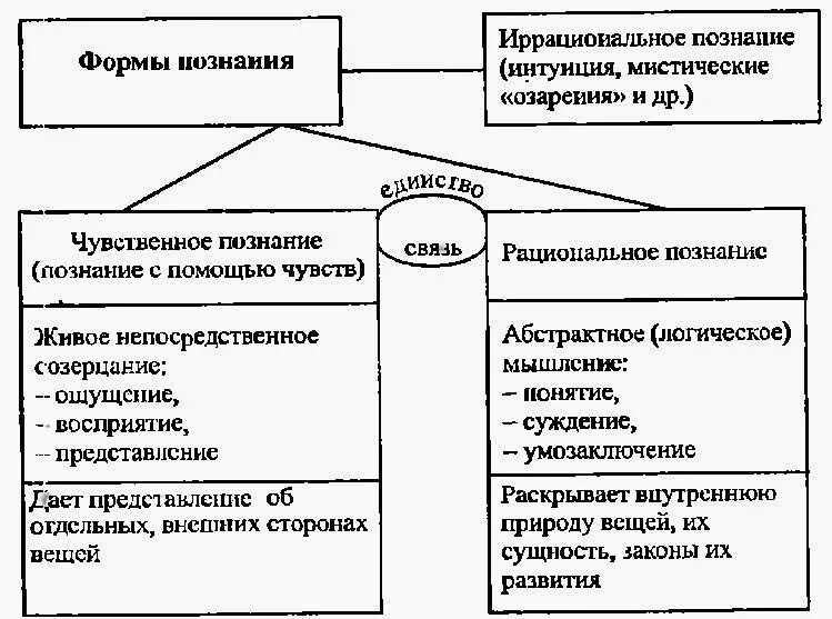 Основные формы познания схема. Виды познания в философии схема. Составьте схему формы познания. Схема формы познания философия.