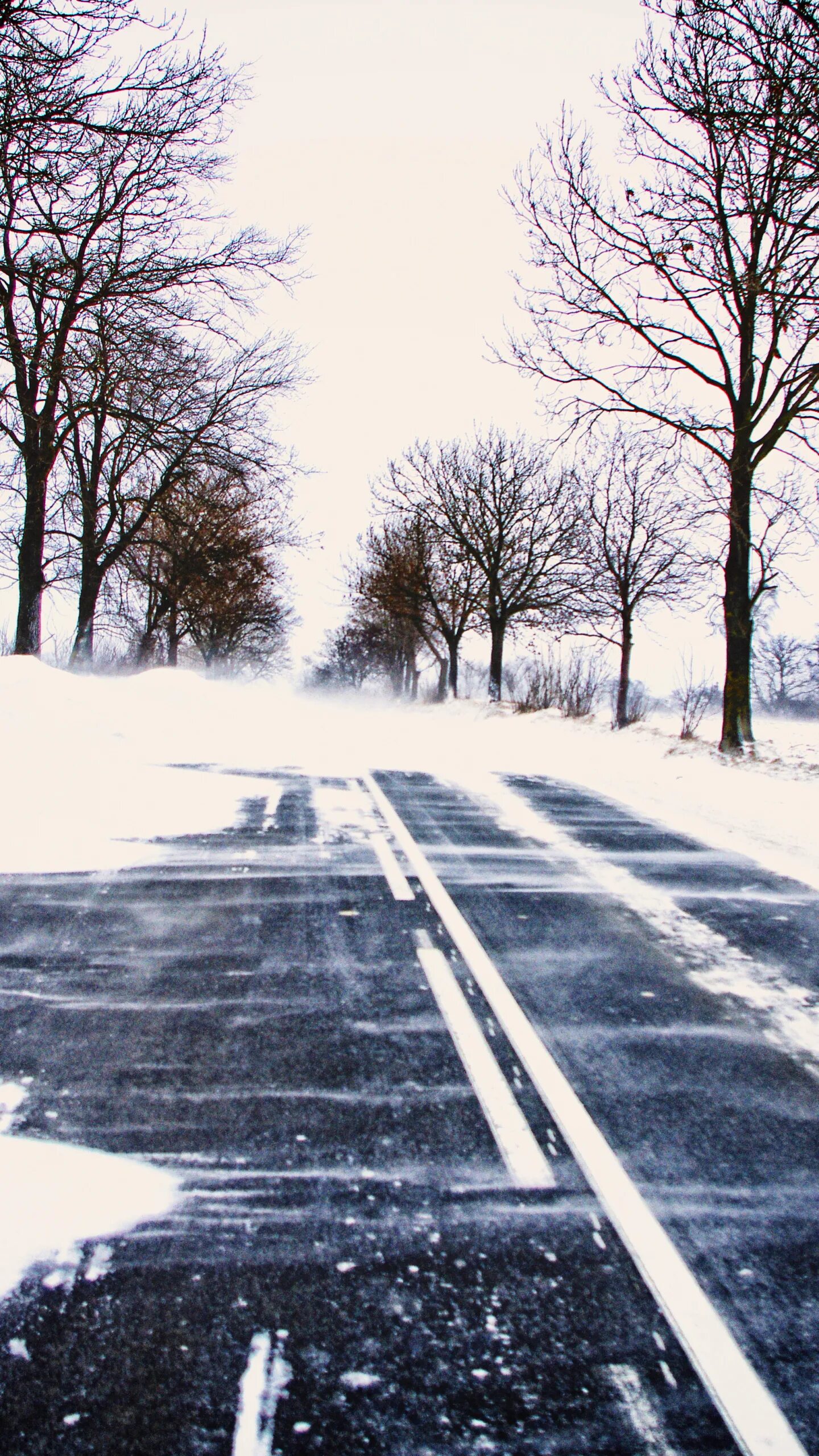 Наличие снега на дорогах. Зимняя дорога. Снегопад на дороге. Дорога с заснеженными деревьями. Дорога со снегом весной.