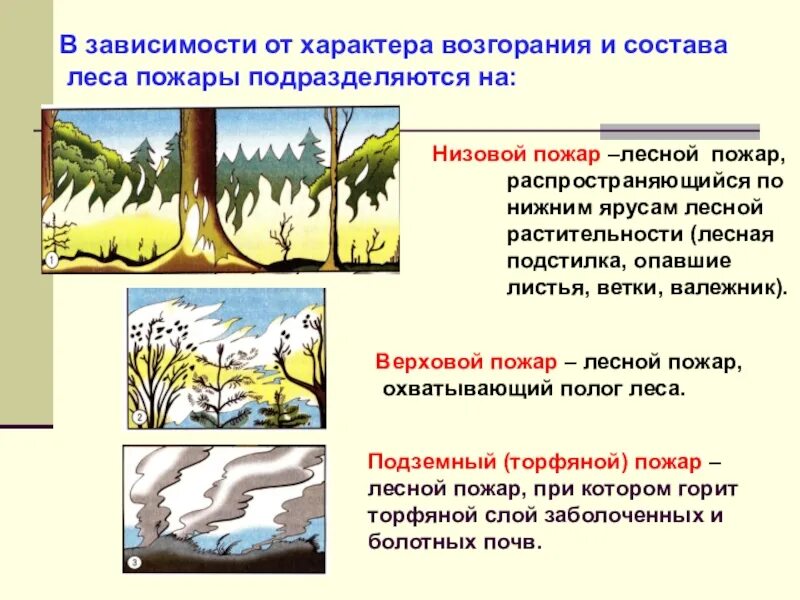 Лесной пожар задачи. Лесные и торфяные пожары. Лесные пожары презентация по ОБЖ. Лесные и торфяные пожары и причины их возникновения. Лесные пожары ОБЖ 7 класс.