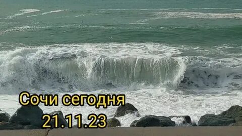 Погода в ноябре сочи 2024 какая будет
