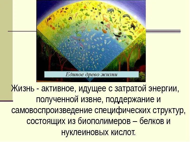 Жизнь сущность жизни свойства живого. Сущность жизни и свойства живого. Сущность это в биологии. Жизнь сущность жизни свойства живого. Сущность это в биологии.