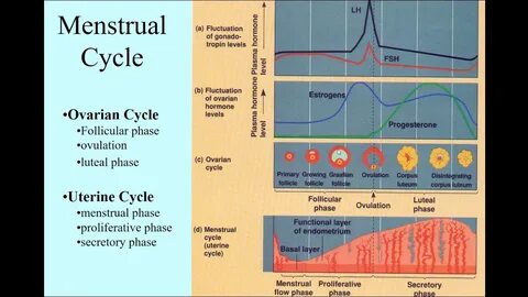 Fluctuations