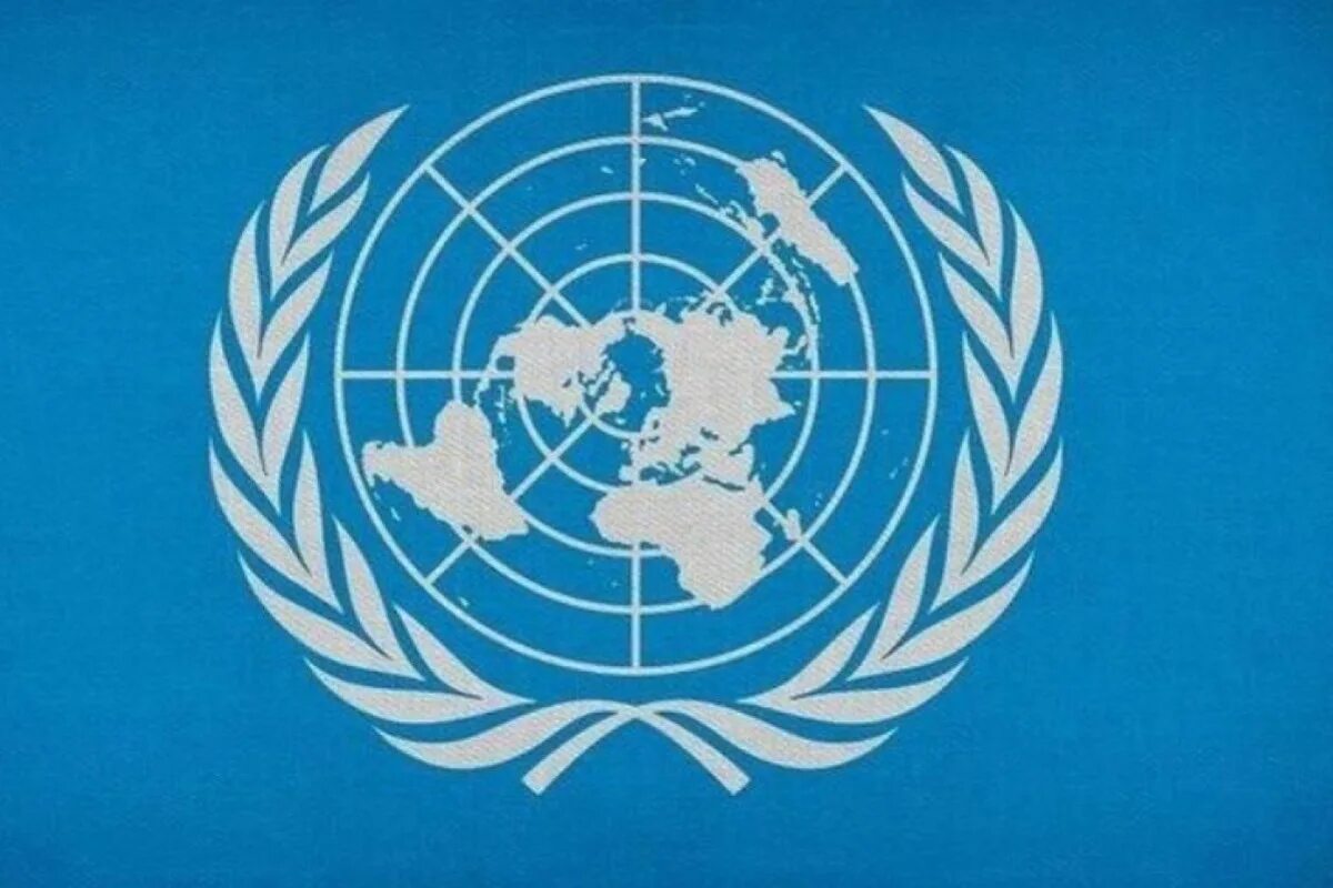 Влияние оон. Комитет по правам человека ООН. Организация Объединенных наций (ООН). Комитеты ООН. Лого Всемирная организация здравоохранения (воз).